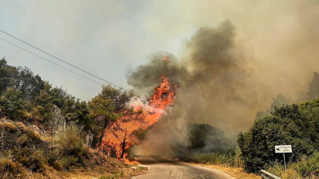 The Trick Greek Firefighters Used that Saved Houses on Zakynthos