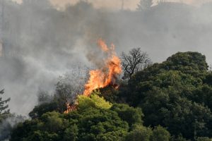 Wildfires in Greece: Risks, Causes, and How to Stay Safe