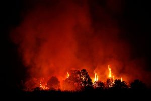 Wildfires Rage Across Southern Europe Amid Heatwave