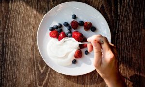 Greek Yogurt Exports Surge 40% in 2025