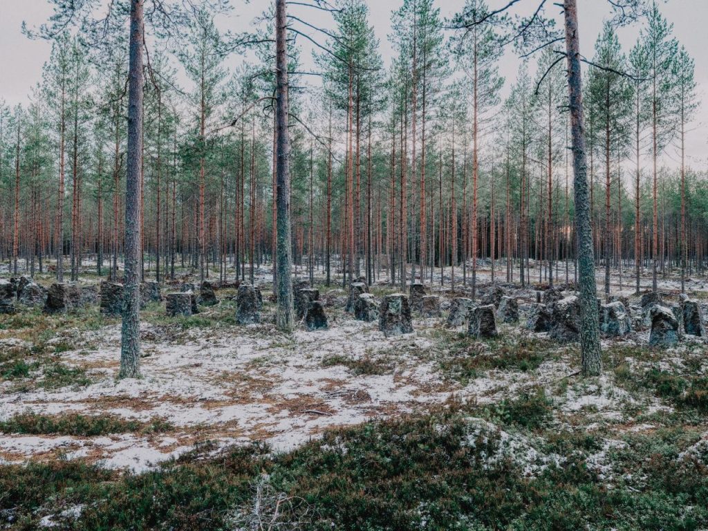 finland stubb and trump