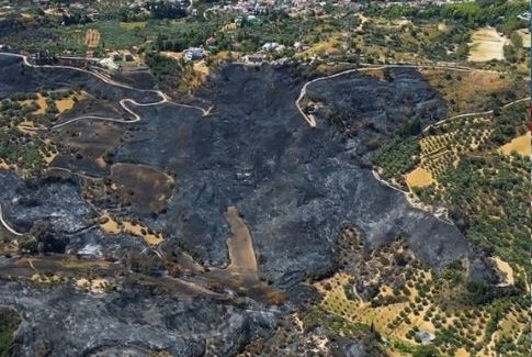 Drone Images Show Major Wildfire Destruction Near Patras