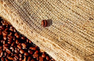 Cocoa Prices Fall as Industrial Demand Weakens