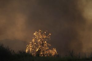Extreme Wildfire Risk for Aegean Islands and Crete