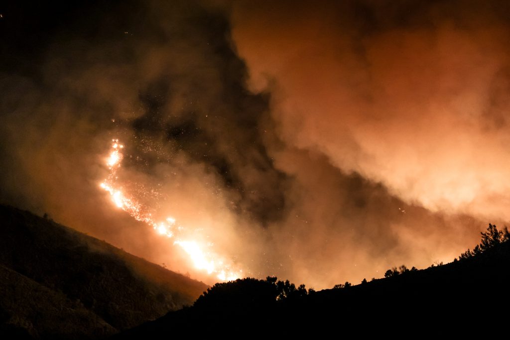 Wildfires in Spain Burn Record Areas Despite Weather Relief