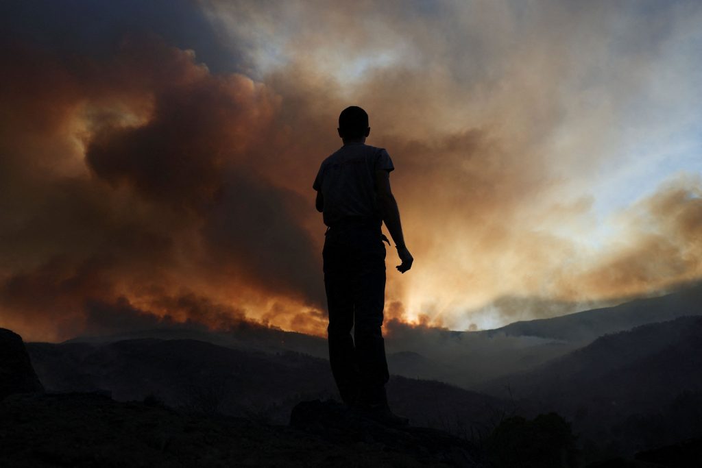 112,185 Acres Burned in Devastating Greek Wildfires