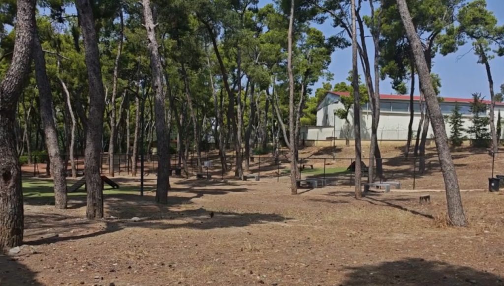 Illegal Pet Burial Site Found in Central Athens Park