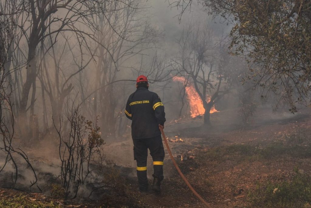 Compensation Βegins for Wildfire-affected Residents in Greece