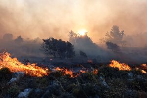 Which Regions Most at Risk on Fire on Wednesday