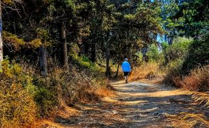 Greece Weather Thursday: Sunshine with Strong Aegean Winds