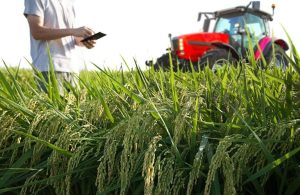 Central Greece Adopts IoT to Boost Farming