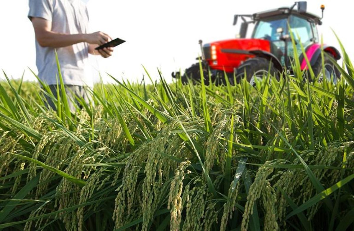 Central Greece Adopts IoT to Boost Farming