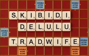 How Delulu Entered the Cambridge Dictionary