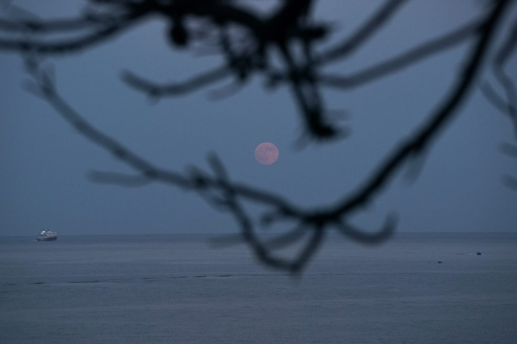 A Total Lunar Eclipse Is Coming —And It’s Bringing a Blood Moon With It