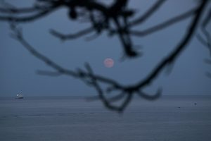 A Total Lunar Eclipse Is Coming —And It’s Bringing a Blood Moon With It