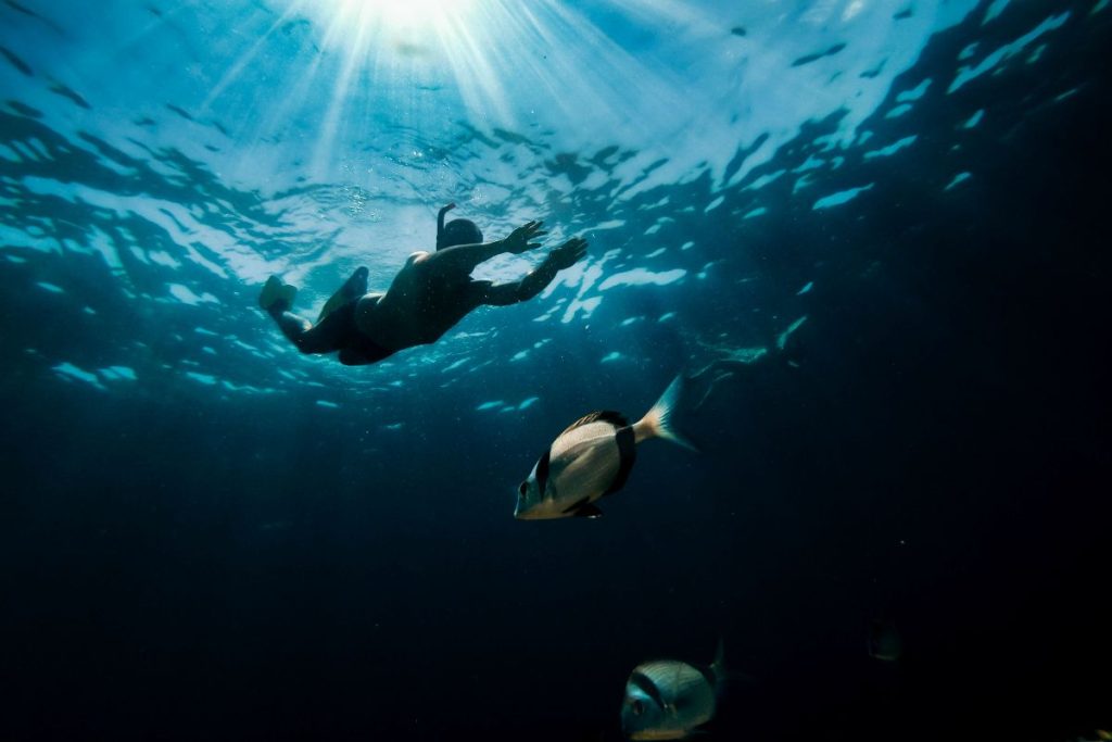 Global Experts Gather in Crete to Tackle Fish Diseases