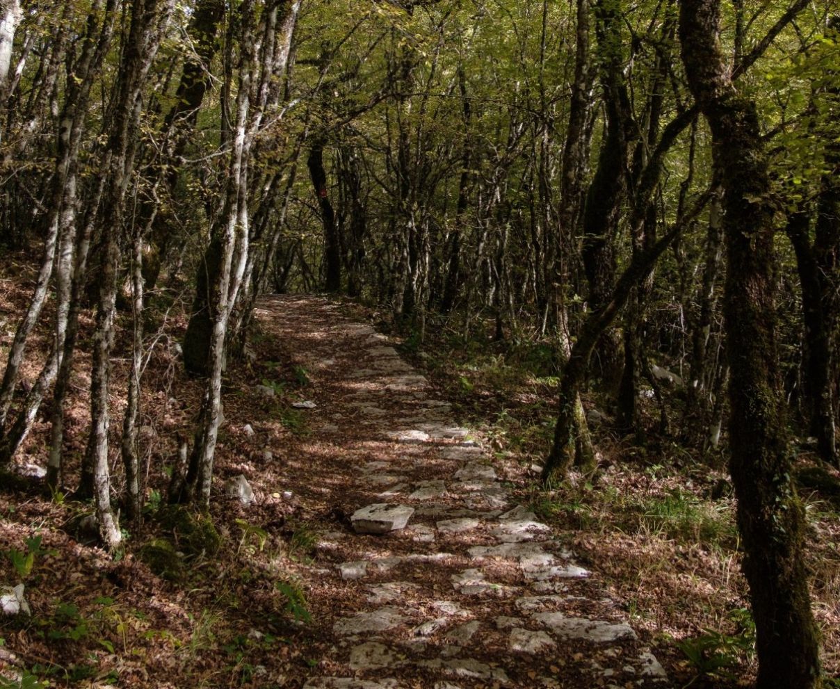 Search for Missing Dutch Tourist in Zagori