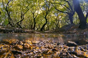 Chelmos–Vouraikos: Greece’s Living Geological Storybook
