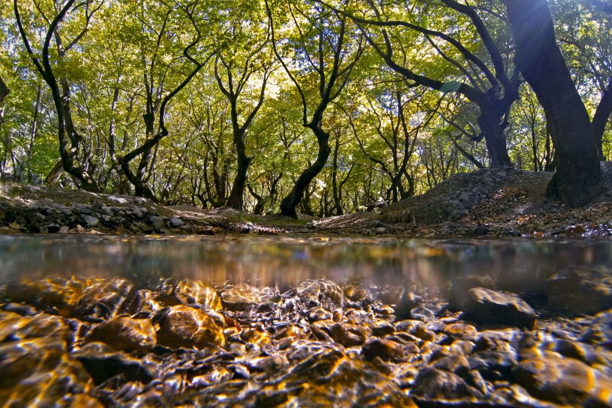 Chelmos–Vouraikos: Greece’s Living Geological Storybook