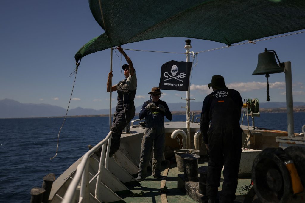 The Organization on the Frontlines of Marine Wildlife Protection