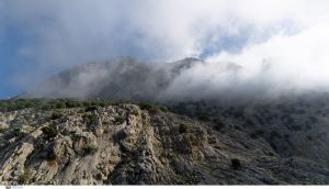 Video Emerges of Fatal Bear Attack in N. Greece