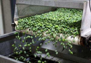 Olive Oil Shots: The Mediterranean’s New Sports Hack