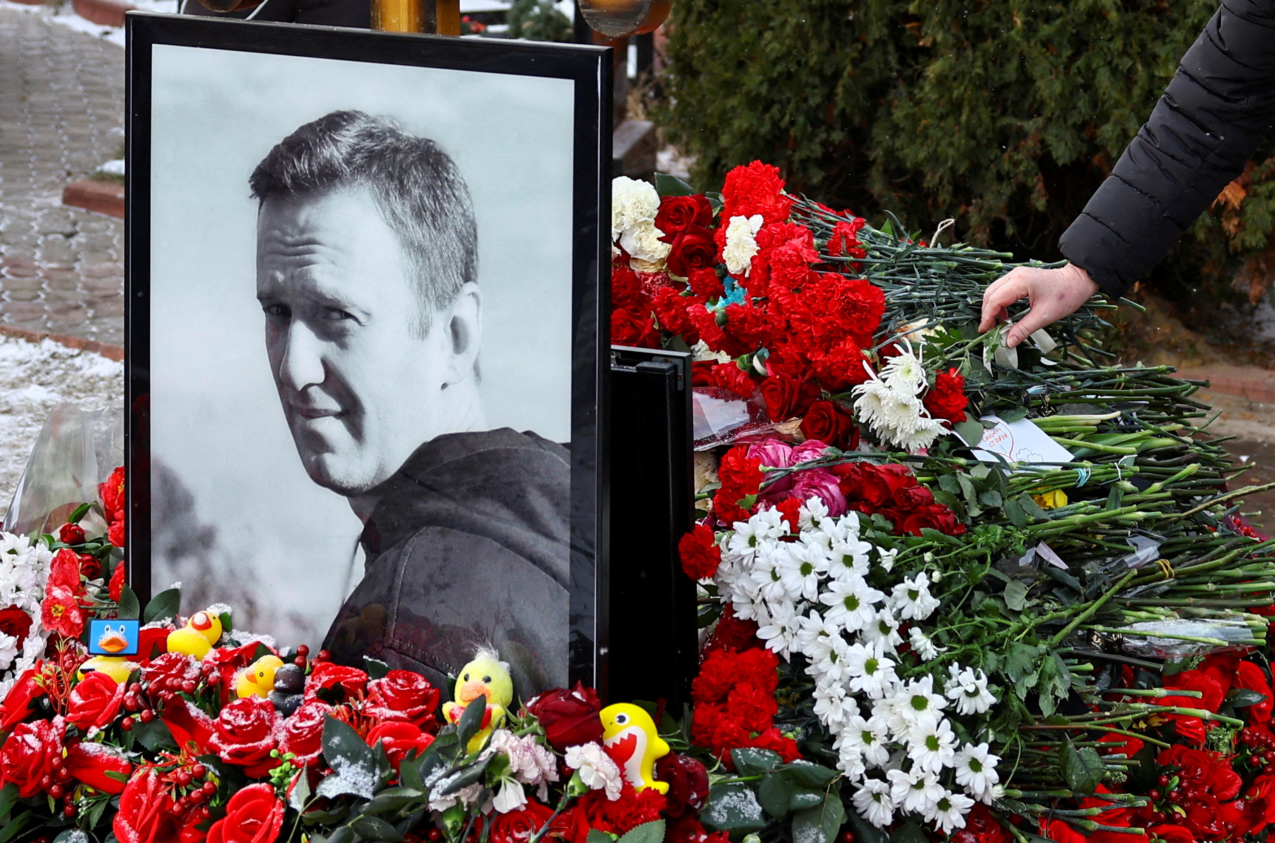 Foreign Labs Confirm Alexei Navalny Was Poisoned, Wife Says