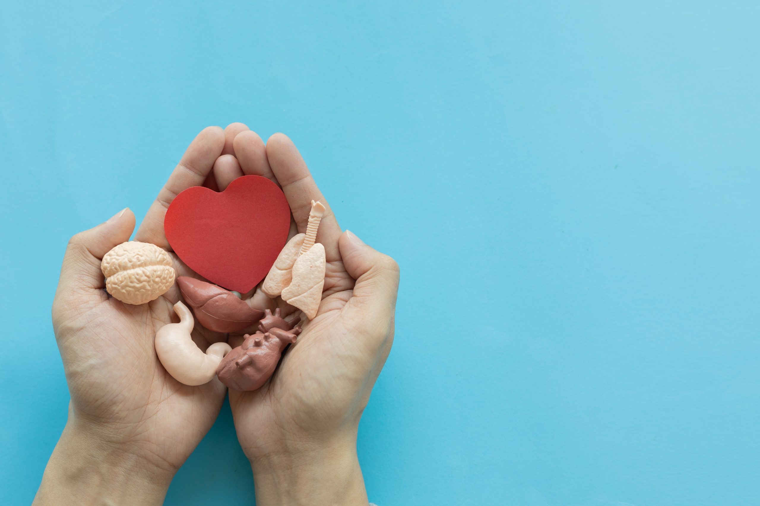 Greece Marks Record Year for Organ Donation, Transplants