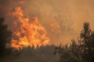 Major Wildfire Near PPC Plant in Central Evia (Vid)