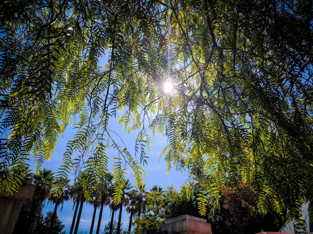 Greece Weather Friday: Cooler Temperatures and Strong Winds