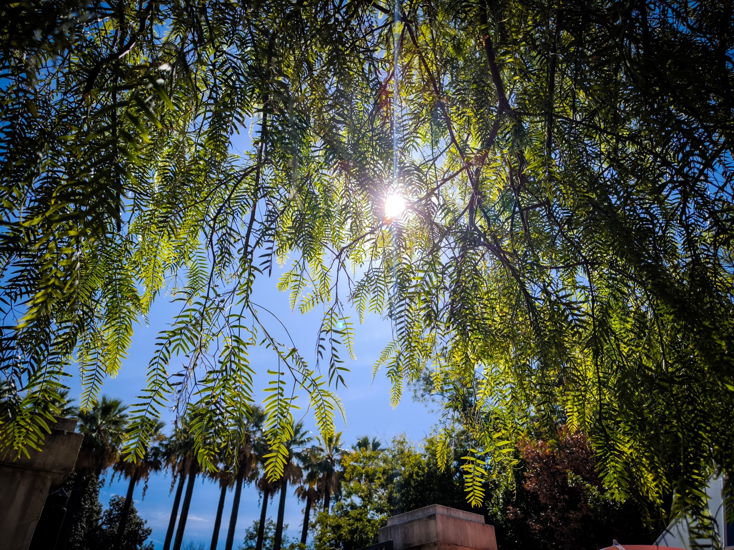 Greece Weather Friday: Cooler Temperatures and Strong Winds