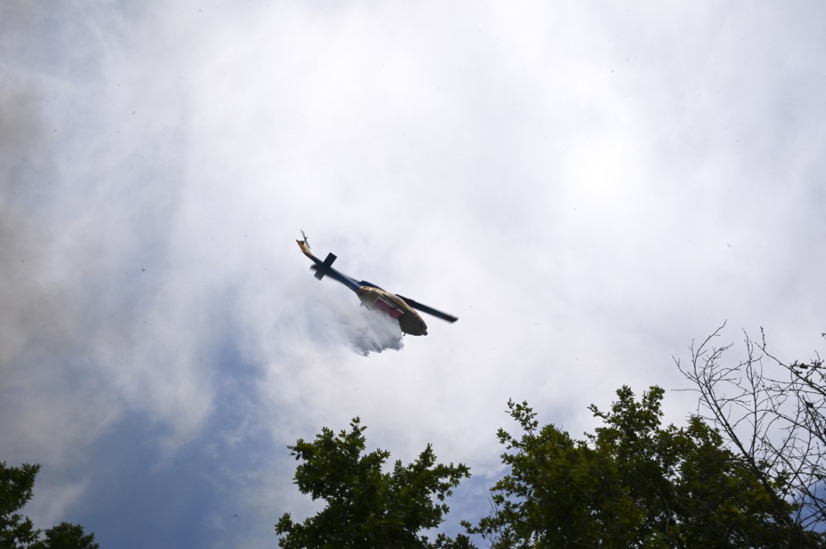 Forest Fire Burns Near Patras (video)
