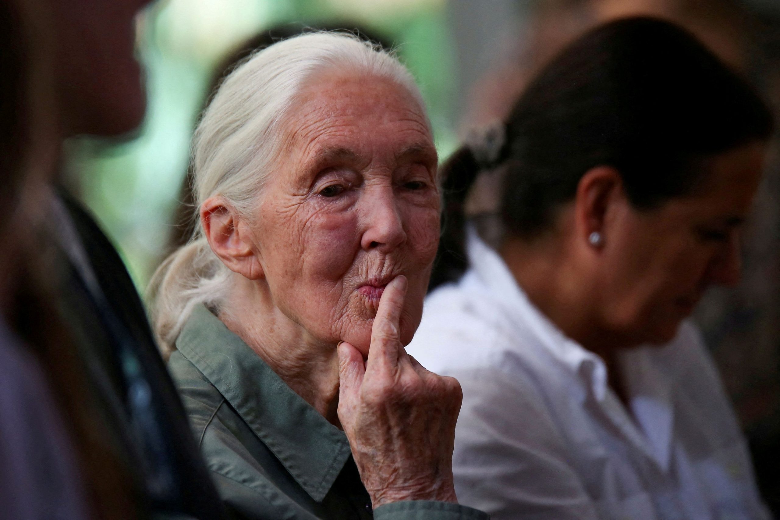 Jane Goodall, Who Studied Chimpanzee Behavior for Decades in Africa, Dies at 91