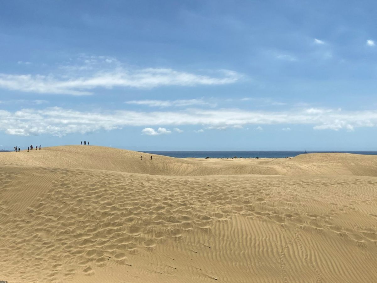 Europe’s Vanishing Nature