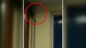 Student Dorms Plagued by Rodents and Brown Tap Water in NorthEastern Greece