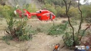 Police Uncover Major Cannabis Plantation in Epirus