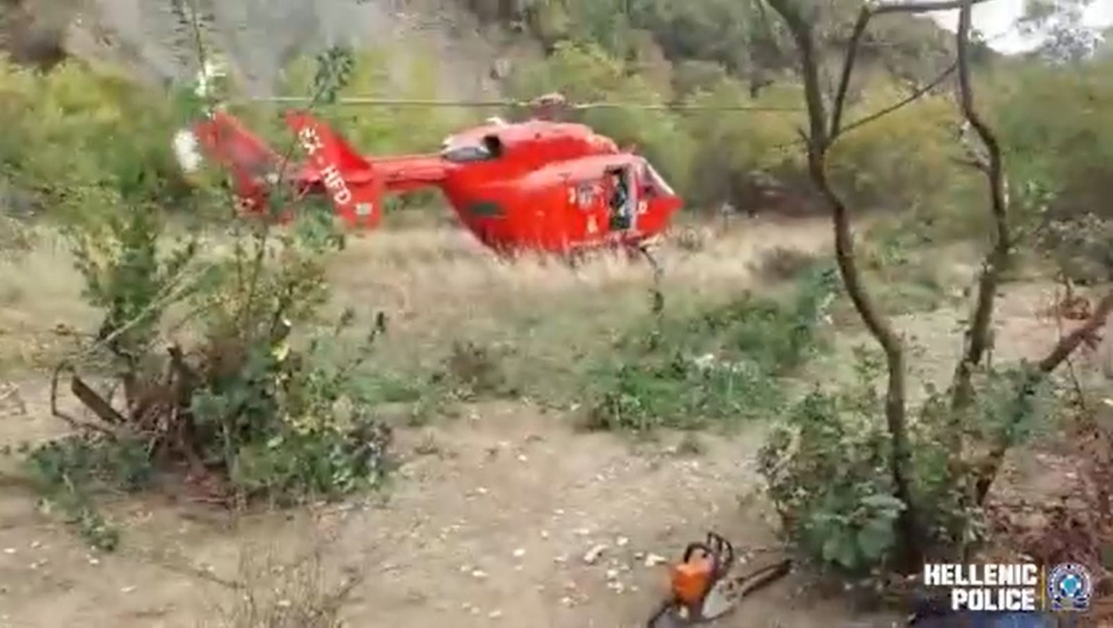 Police Uncover Major Cannabis Plantation in Epirus