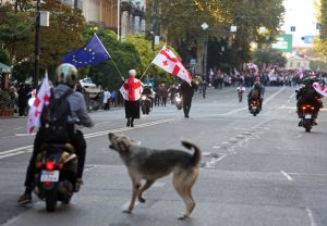 Mass Pro‑EU Protests Rock Georgia Amid Clashes With Police