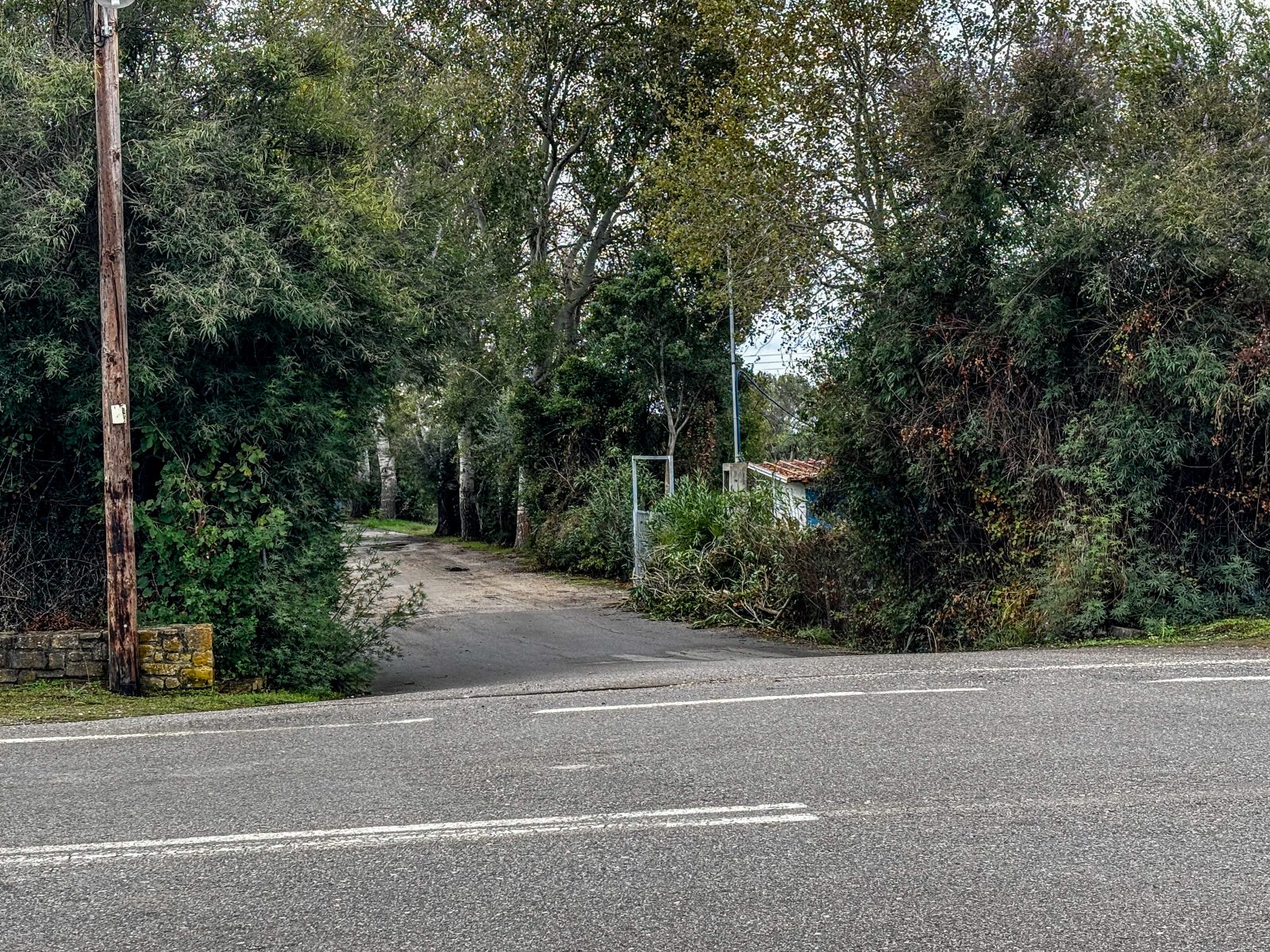 Police Hunt Suspect in Double Murder at Greek Campsite