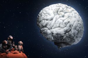 Our Brains Evolved to Socialize -but Max Out at About 150 Friends