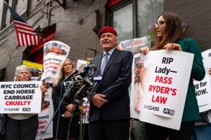 The Cat-Loving Republican in NYC’s Mayoral Race Who Just Won’t Quit