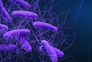 Nano-Vinegar: Ancient Remedy Meets Cutting-Edge Science