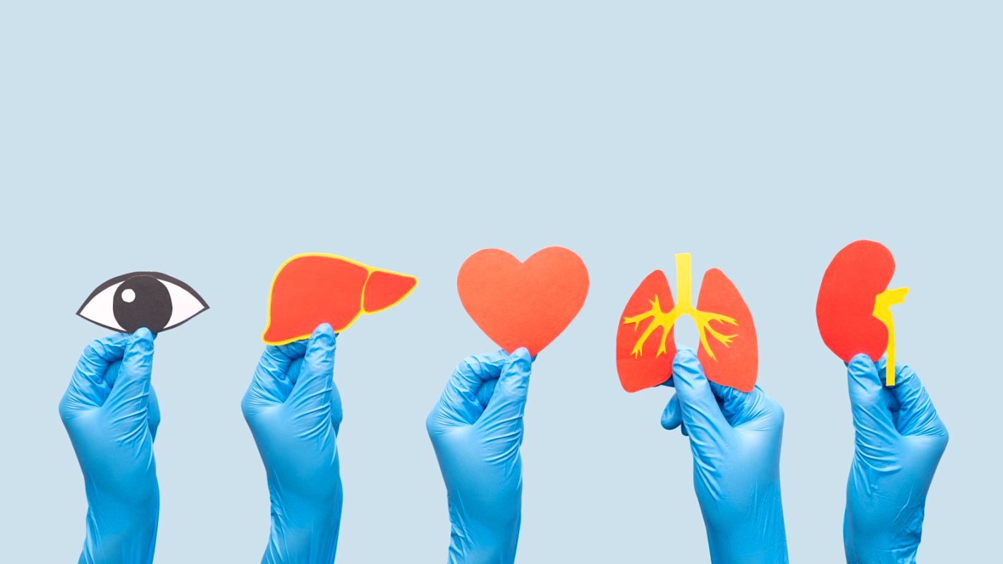 Greece Sends 1.5m Emails in National Organ Donation Drive