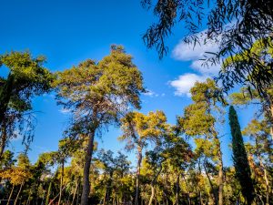 Sunshine Returns to Most of Greece on Thursday