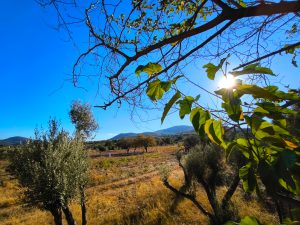 Clear Skies and Mild Temperatures Across Greece