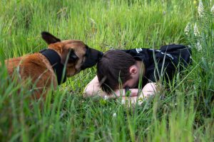 Stray Dog Found Shot at Close Range in W. Greece