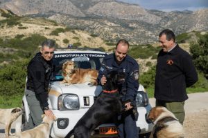 Kindness in Uniform: Crete’s Police Redefine Animal Welfare