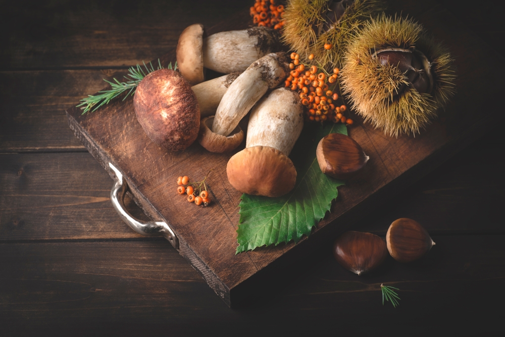 Chestnuts and Mushrooms: Fall’s Most Flavorful Duo