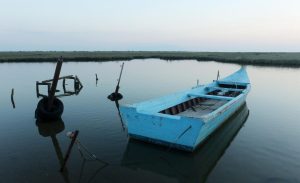 Where the Rivers Meet the Sky: Evros Delta’s Winter Miracle