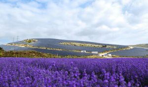 Apple-HELLENiQ Strategic Wind Farms Deal